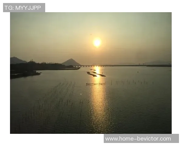 齐尔克泽：经历一年无进球后终于收获回报的耐心与努力